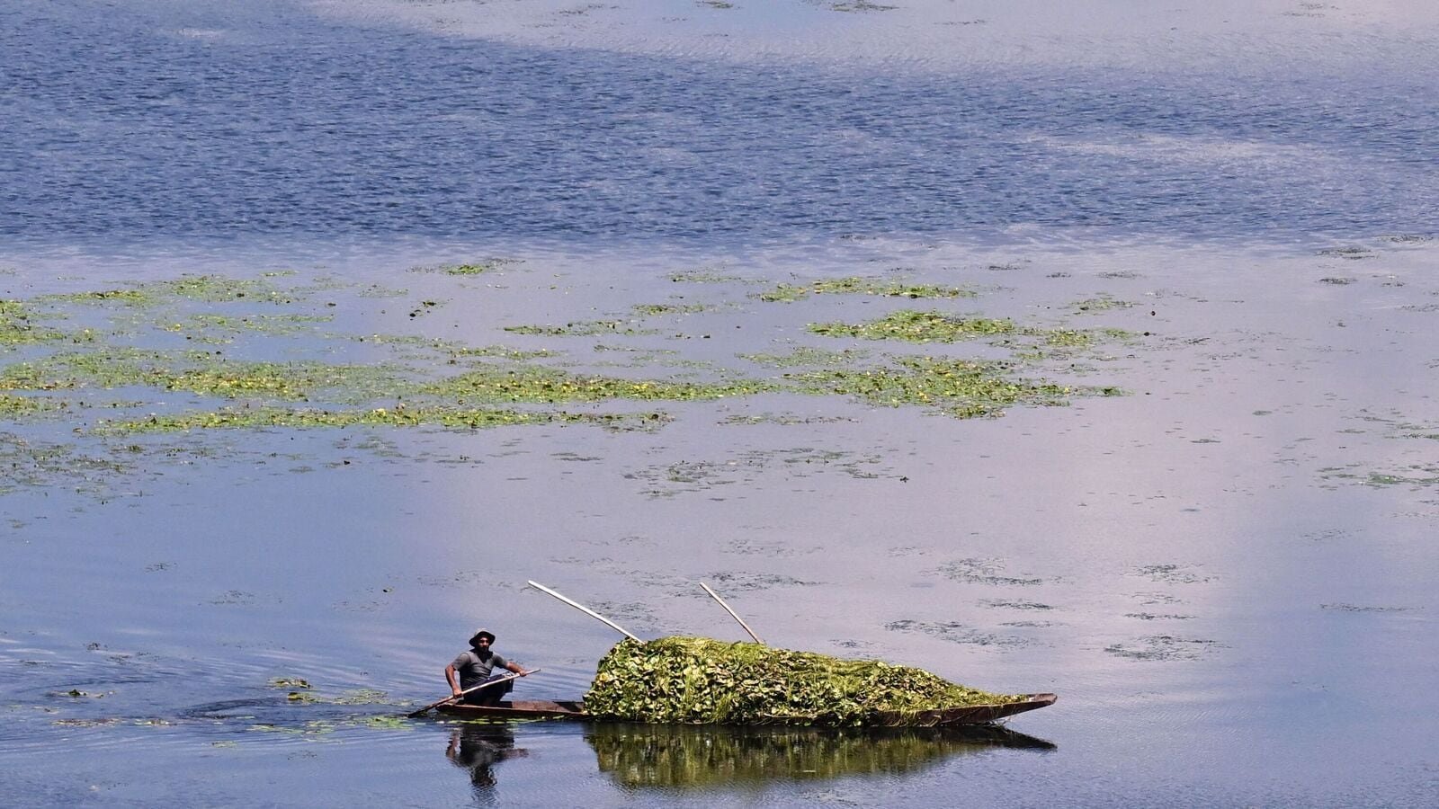 TOPSHOT - A boatman carries weed growing in the lake to feed his cattle in the waters of Wular Lake in Bandipora, north of Srinagar, on May 14, 2025. (Photo by Tauseef MUSTAFA / AFP)