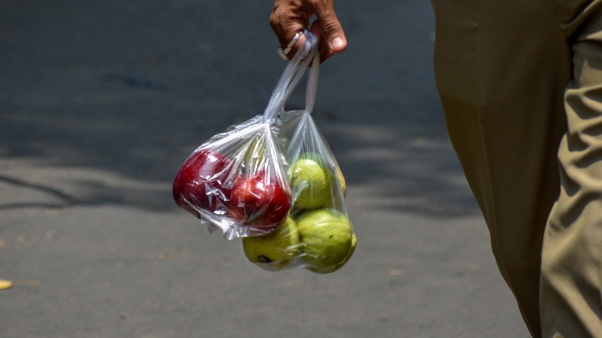अंतर्राष्ट्रीय प्लास्टिक बैग मुक्त दिन 2025