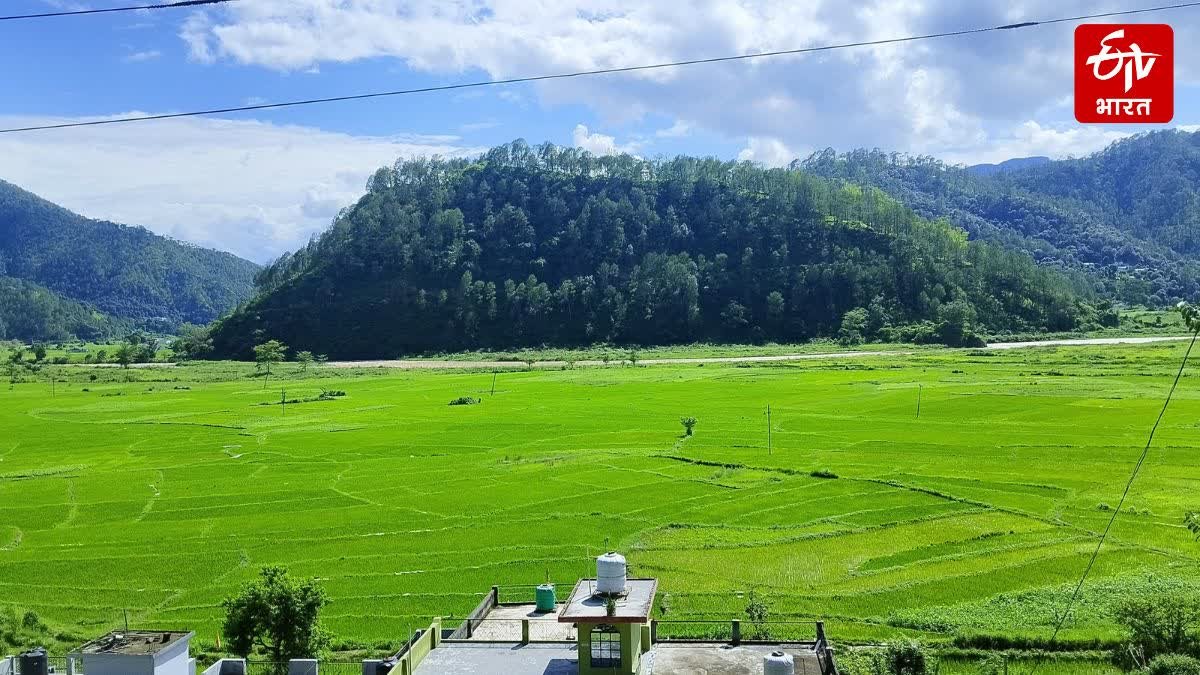 उत्तराखंड के इन 4 जिलों में रविवार को बहुत भारी बारिश की सतर्कता, मौसम विभाग की चेतावनी देखें