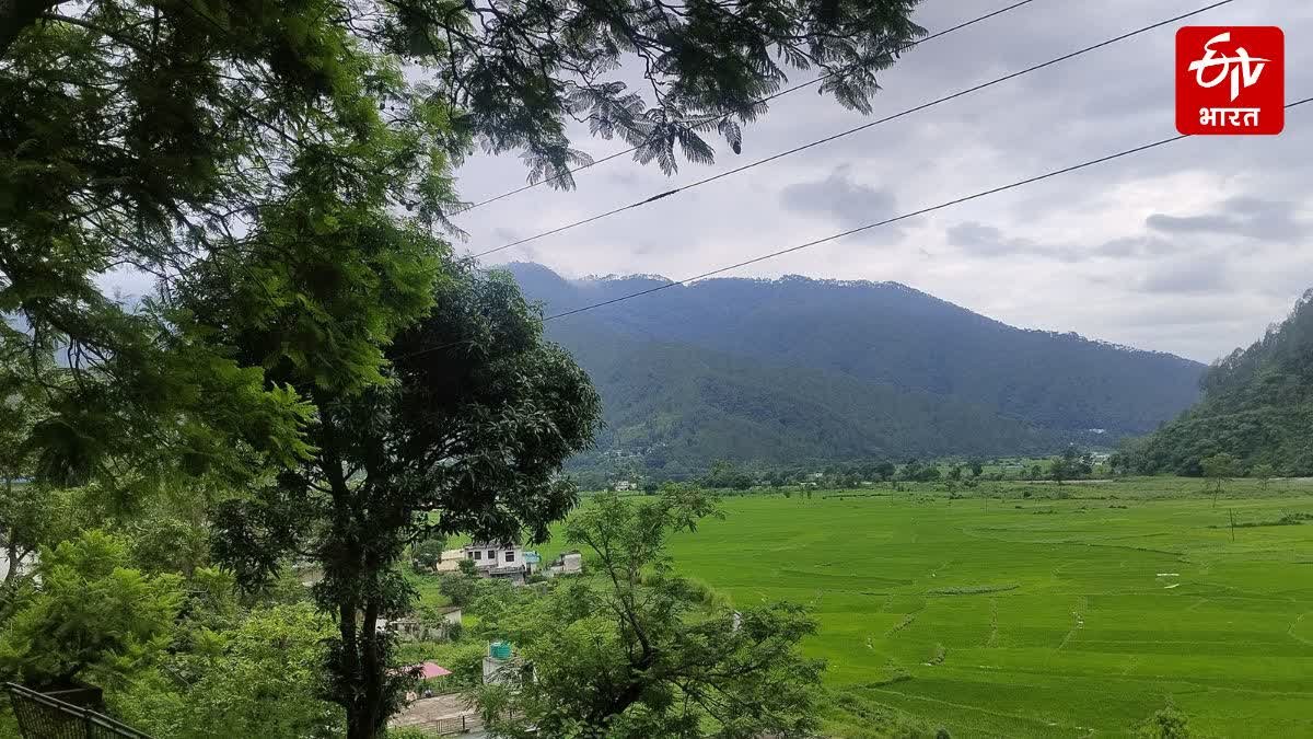 उत्तराखंड के इन 6 जिलों को आज भारी बारिश होगी, मौसम विभाग के अलर्ट