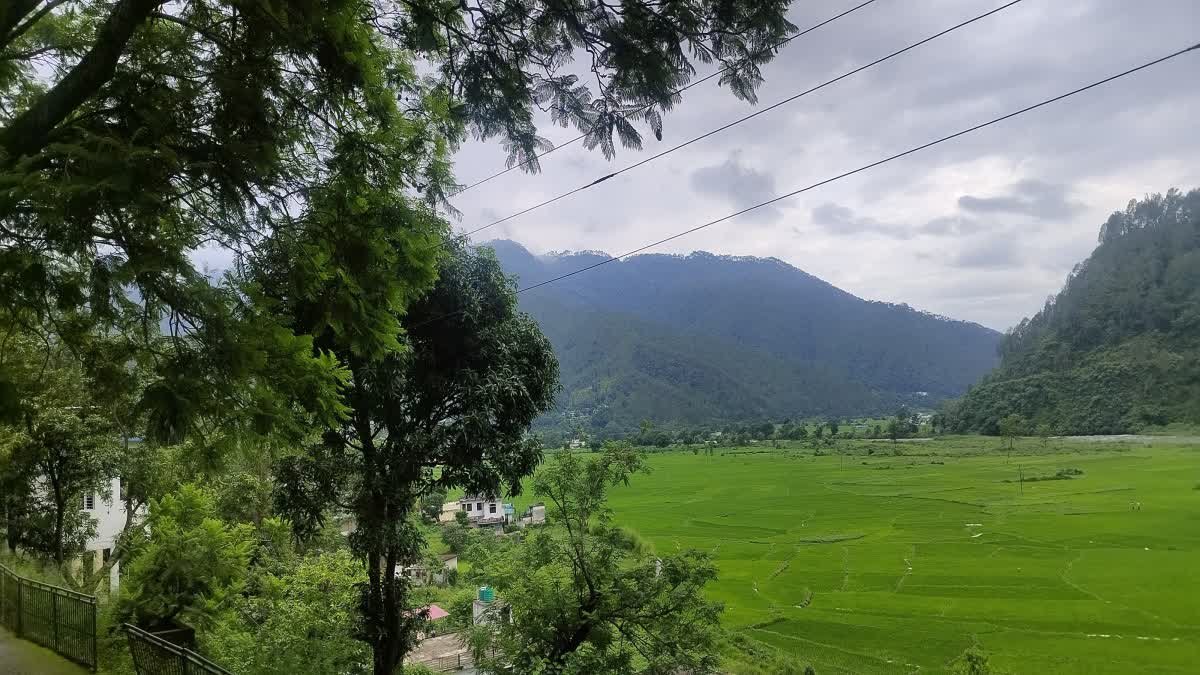 उत्तराखंड में रेन ऑरेंज अलर्ट जारी किया गया, देहरादून में स्कूलों की छुट्टी