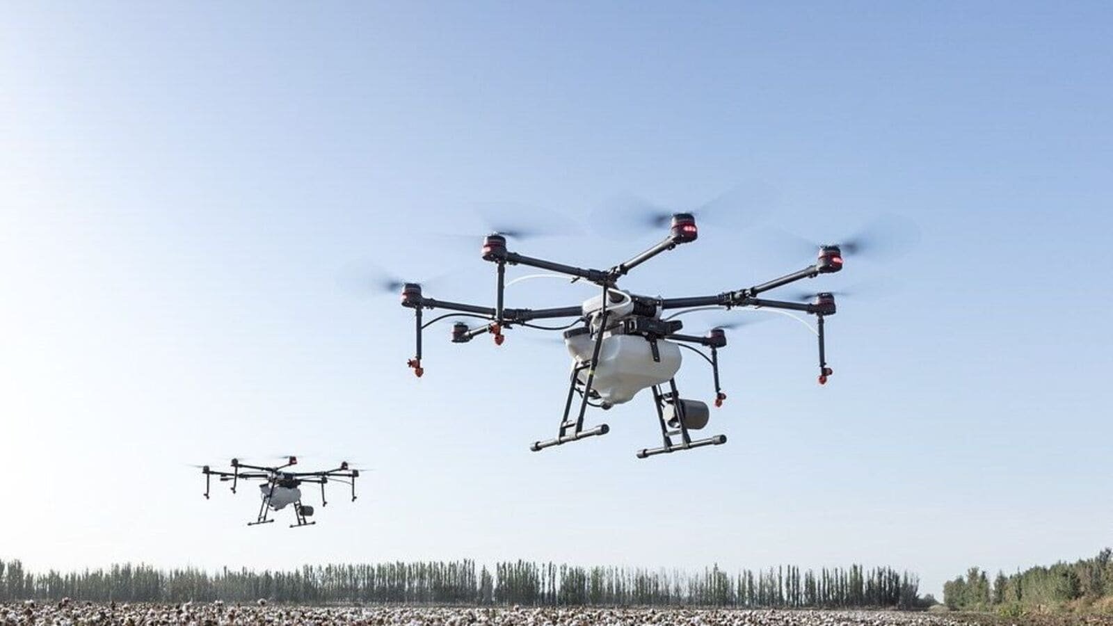 Photo for representation: