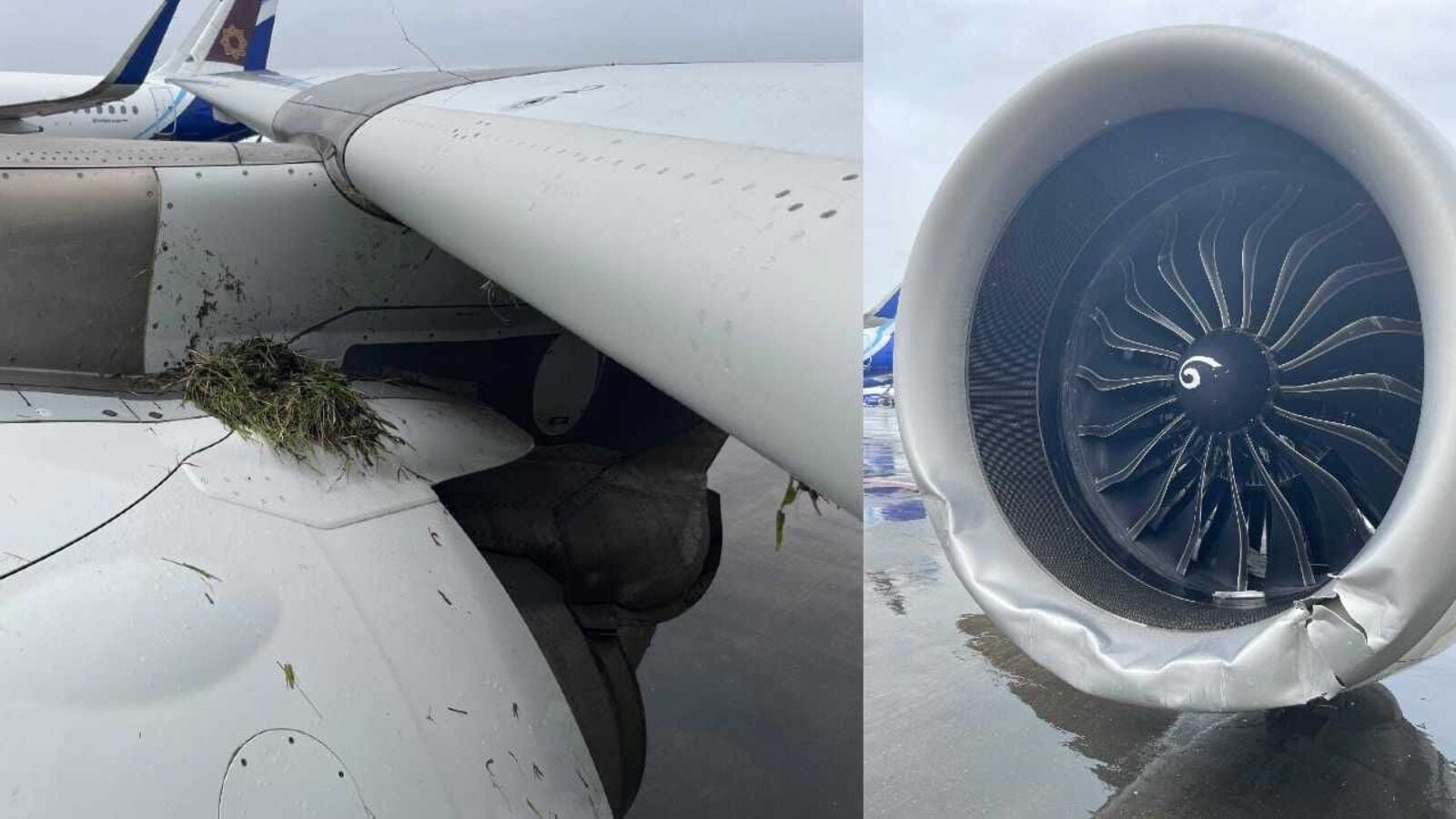 Air India plane skids off runway at Mumbai airport, pictures show damage.