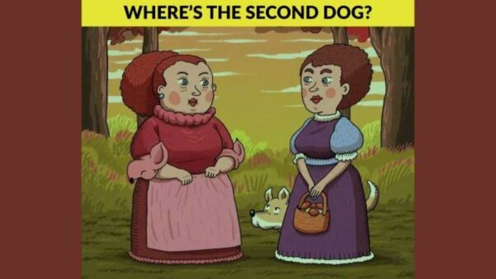 Optical illusion: People have been asked to find the hidden second dog in this viral visual puzzle.