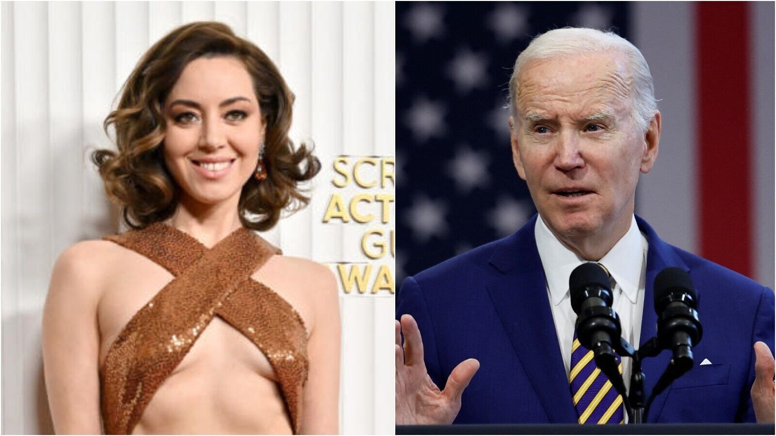 Aubrey Plaza overtakes Joe Biden in ‘Most Famous Delawarean’ poll.