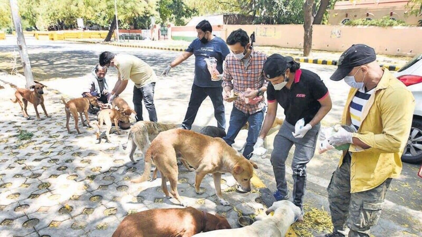 New Delhi, India- April 08, 2020: People feed stray dogs at Jantar Mantar Road on day fifteen of the 21 day nationwide lockdown against the coronavirus, in New Delhi, India on Wednesday, April 08, 2020. (Photo by Sonu Mehta/Hindustan Times) (Sonu Mehta/HT PHOTO)