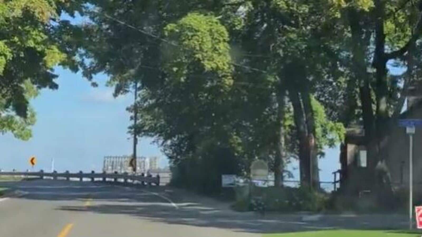 Screengrab from the viral video.