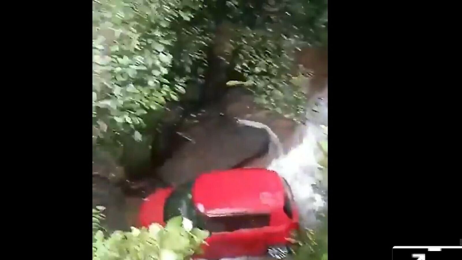 A video grab of the incident. Photo: X