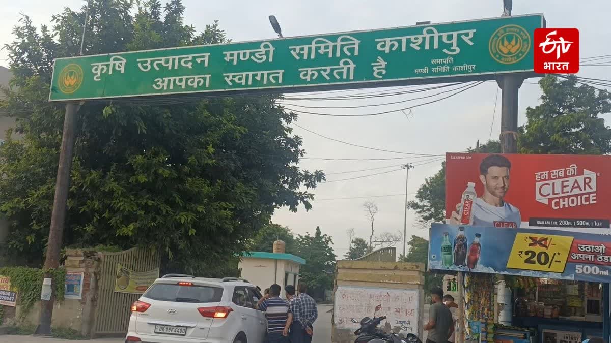 काशीपुर: मंडी समिति के अधिकारी ने रेड को 1 लाख 20 हजार की रिश्वत लेते हुए गिरफ्तार किया, सतर्कता की कार्रवाई