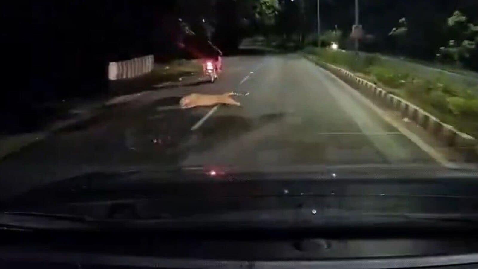 A video grab of the incident. Photo: X