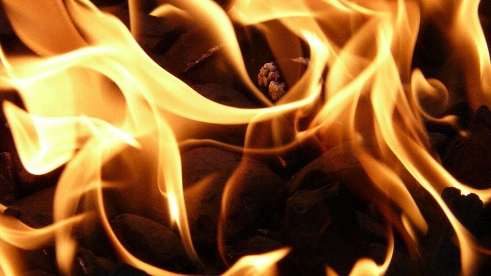 Three people were killed and their bodies were shifted to a hospital in Vadodara for post-mortem. (Representational image)