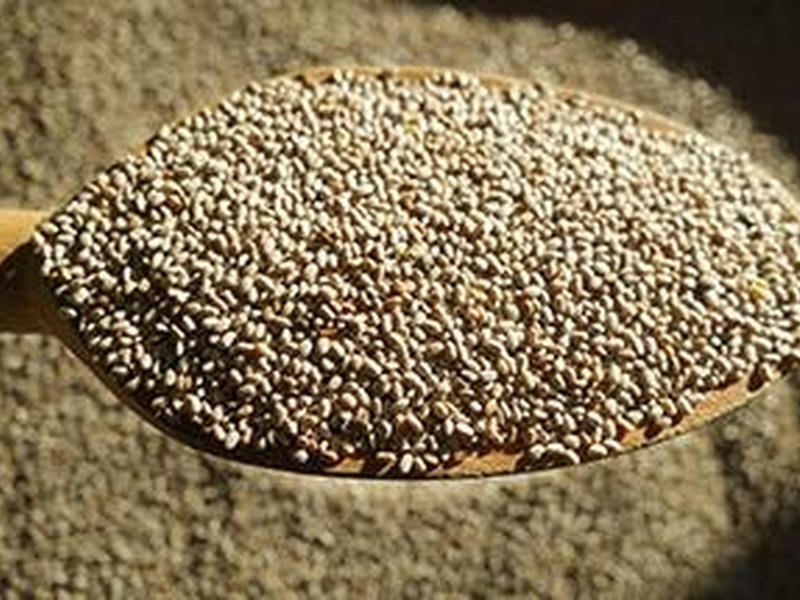 चिया बीज, मधुमेह को भी हृदय और दिमाग के स्वास्थ्य में नियंत्रित किया जाना चाहिए