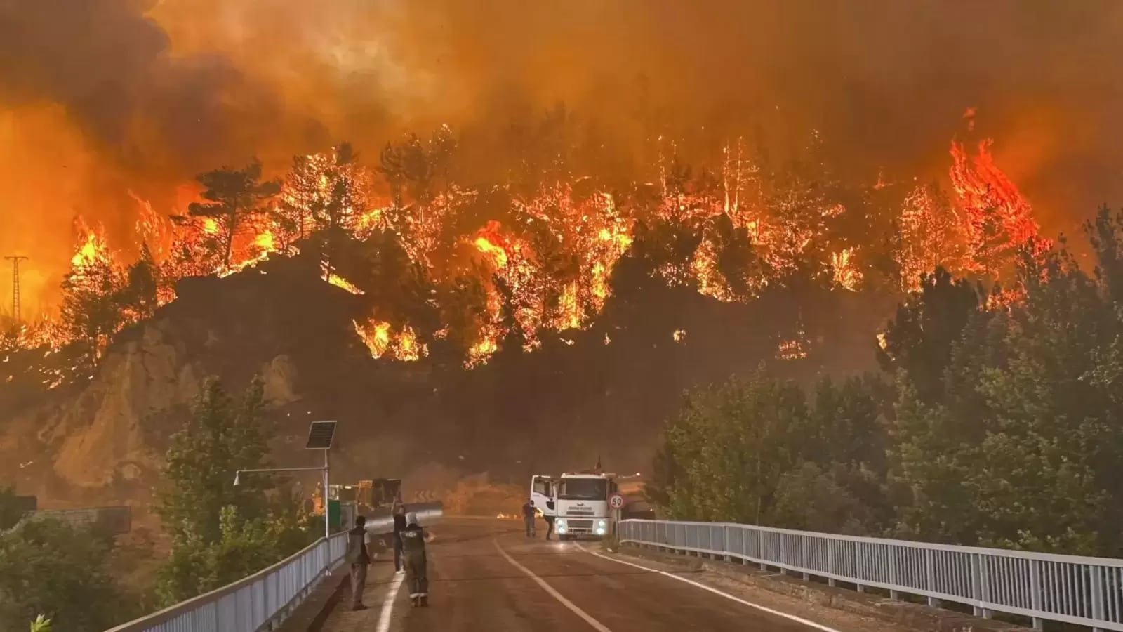 Turkiye wildfire spread overnight, forcing mass evacuations of local people in Busa.
