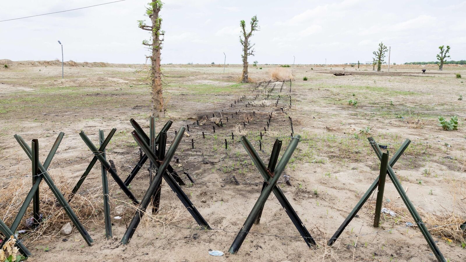 नाइजर: दो भारतीय मारे गए, एक ने आतंकी हमले में अपहरण कर लिया; भारतीय मिशन कहता है, 'सतर्क रहें'