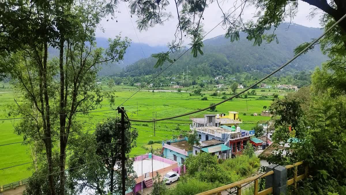 पूरे उत्तराखंड में आज बारिश होगी, इन 3 जिलों में मौसम विभाग का विशेष चेतावनी