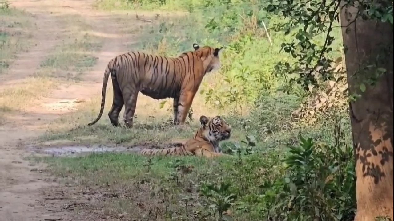 कोरबेट टाइगर रिजर्व