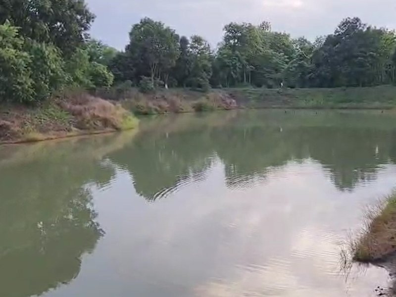बिहार: प्रधानमंत्री मत्स्य पालन संध योजना ने मत्स्य पालन को बढ़ाया और रोजगार बनाया जा रहा है