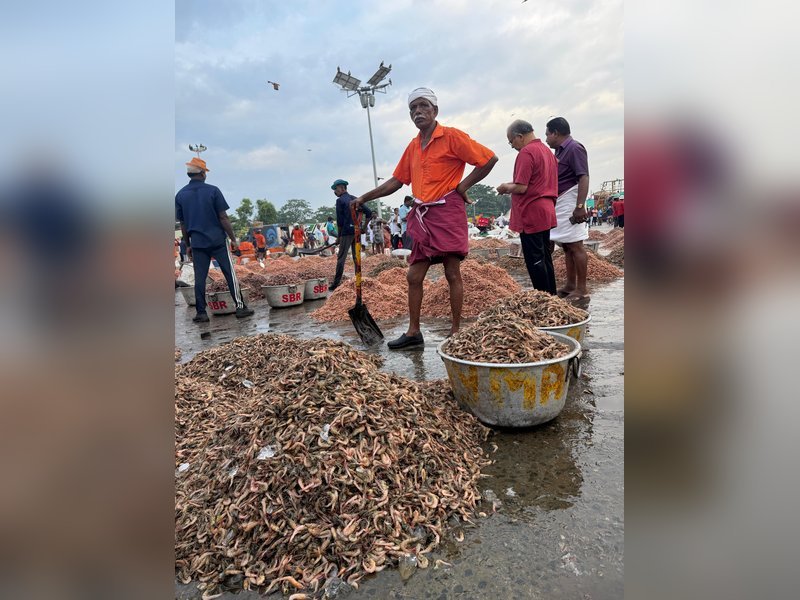 भारतीय समुद्री भोजन निर्यातकों ने यूके के बाजार के एक बड़े हिस्से को जब्त करने के लिए तैयार किया, गो ग्लोबल: सरकार