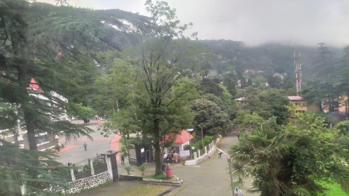 भावाली नगरपालिका अध्यक्ष उच्च न्यायालय से एक बड़ी राहत है, विपक्ष की चुनावी याचिका पर अग्रिम कार्रवाई पर निषेध