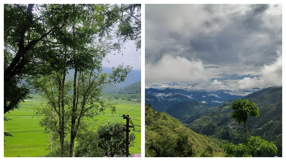 मौसम विभाग ने पूरे सप्ताह की बारिश अलर्ट जारी की, पता है कि बारिश कब होगी