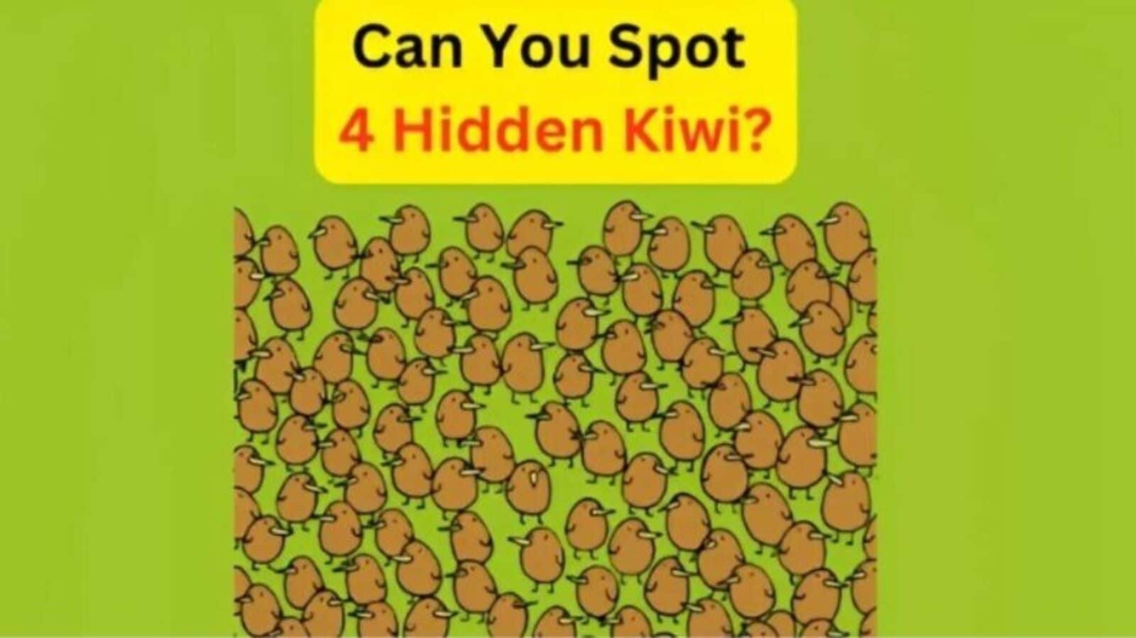 Spot four hidden kiwi fruits cleverly tucked into the picture.