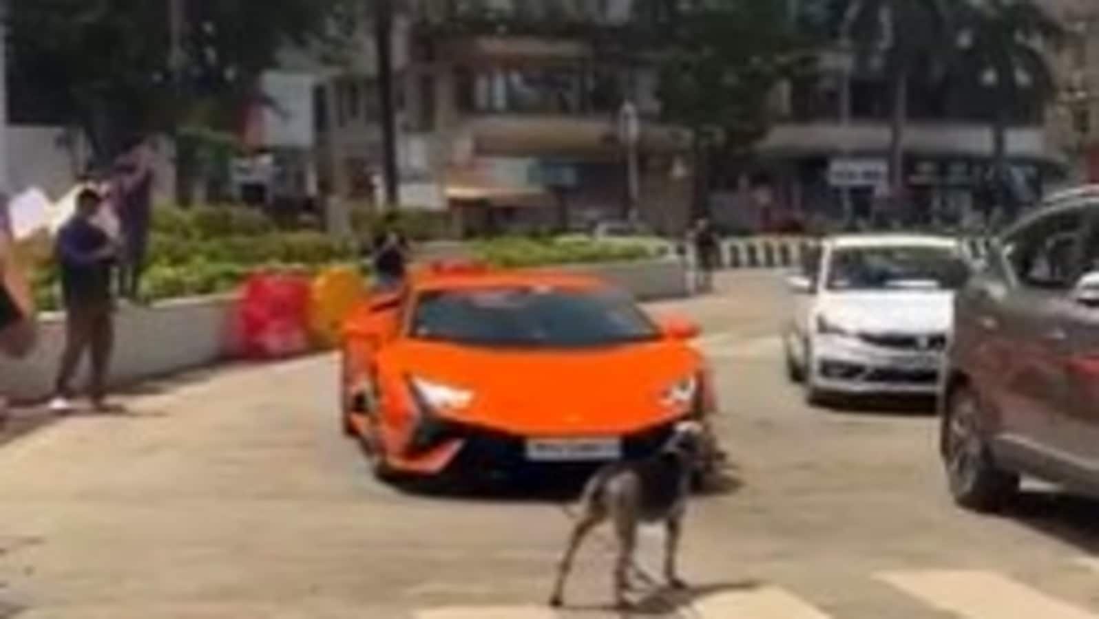 Screengrab from the viral video.