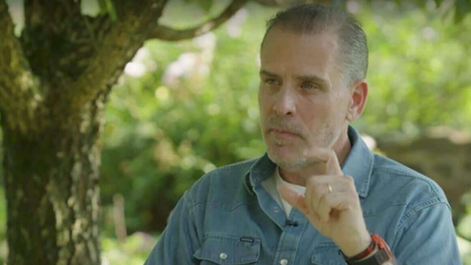 Hunter Biden also lashed out at top Democrats who urged Joe Biden to drop out from 2024 Presidential race, which he eventually did on July 21.