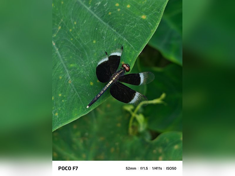 POCO F-7 के लिए पहला OTA सॉफ्टवेयर अपडेट जारी किया गया