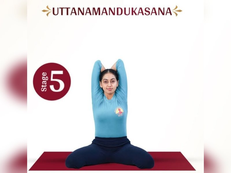 आयुष के मंत्रालय ने कहा कि उत्तरा मंडुकासन की सही विधि, पीठ और कंधे के दर्द में राहत मिलेगी