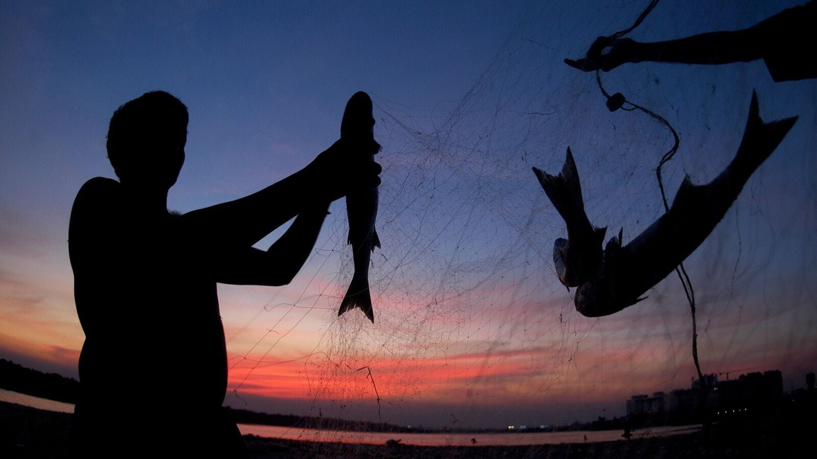 India's seafood exports to the UK are set to triple in volume after export duty is removed.