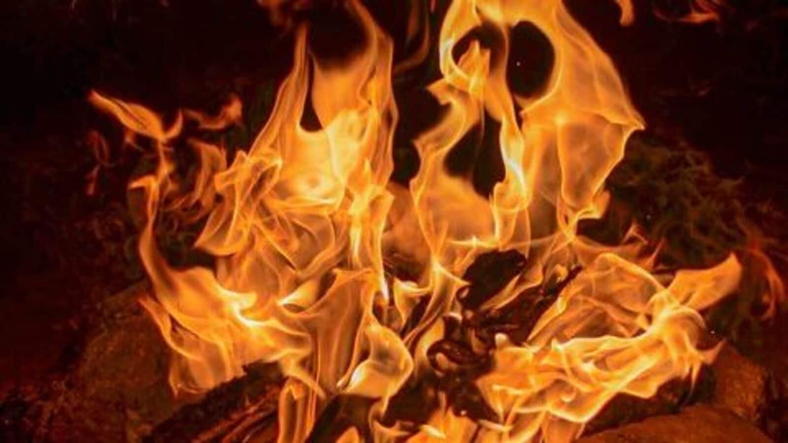 MP shocker: One-sided love turns deadly, teen student pours petrol on teacher, sets her on fire