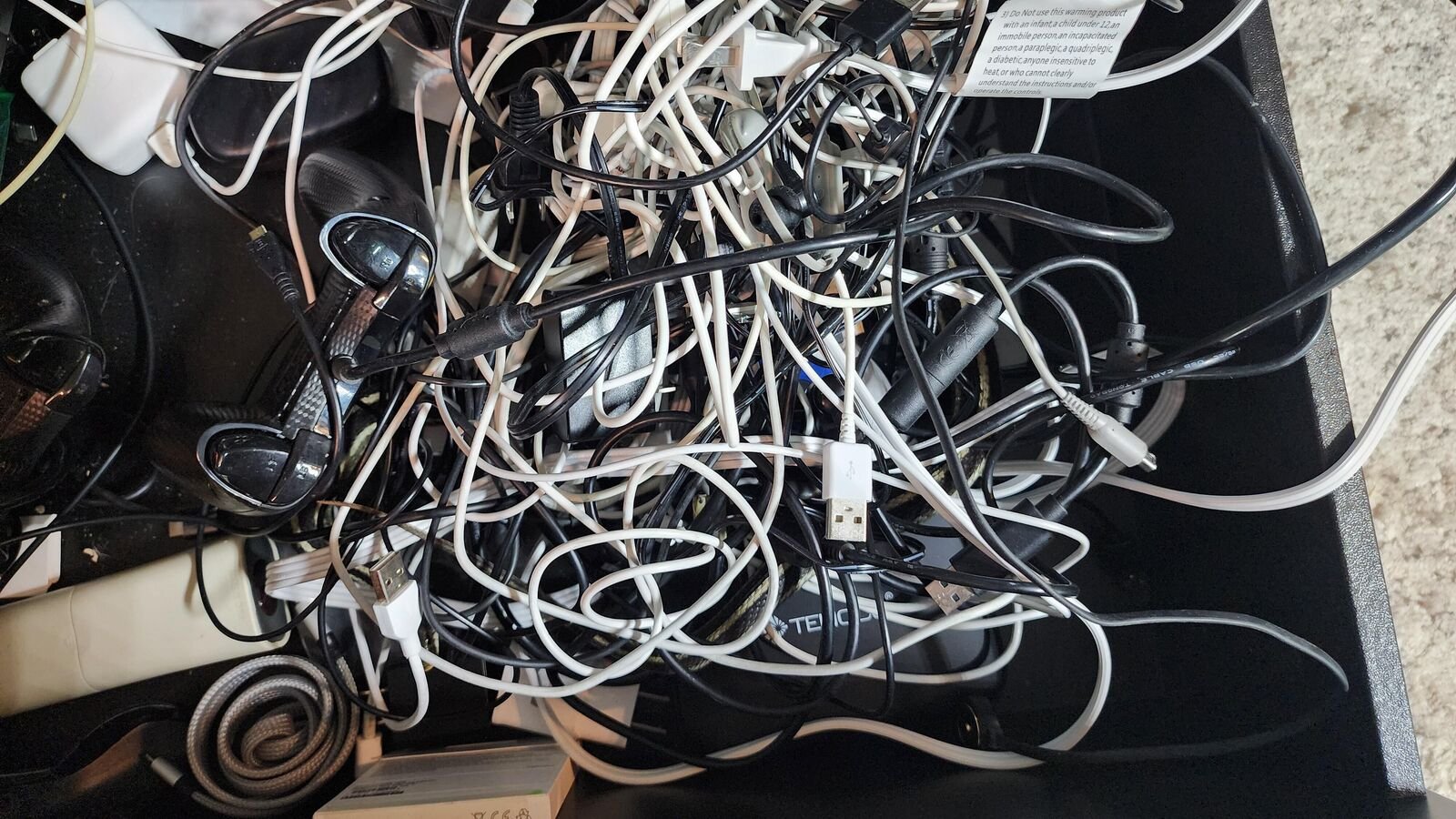 Can you spot the hidden snake in the cables?