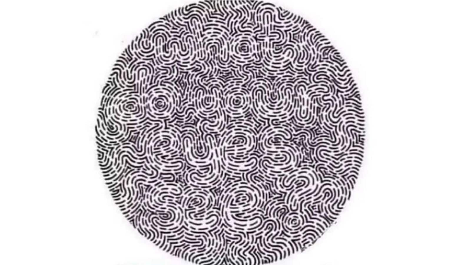 Martinez-Conde explains that when an illusion fools us, it shows how our neurons fire and how brain circuits work to build a version of reality.