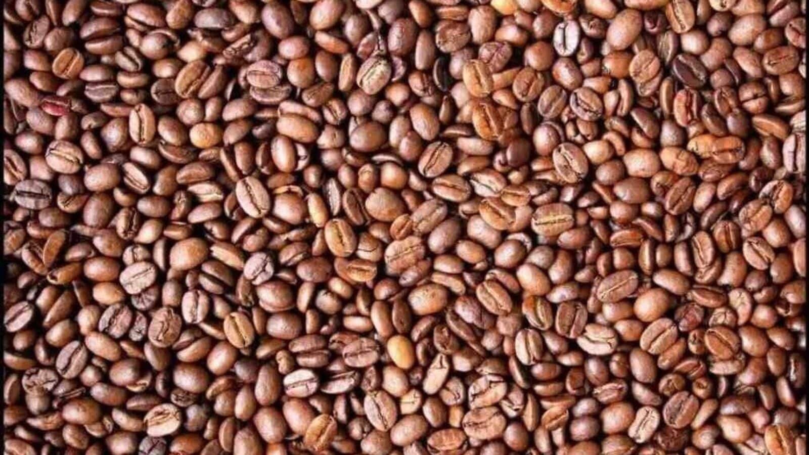 Can you find the hidden face?