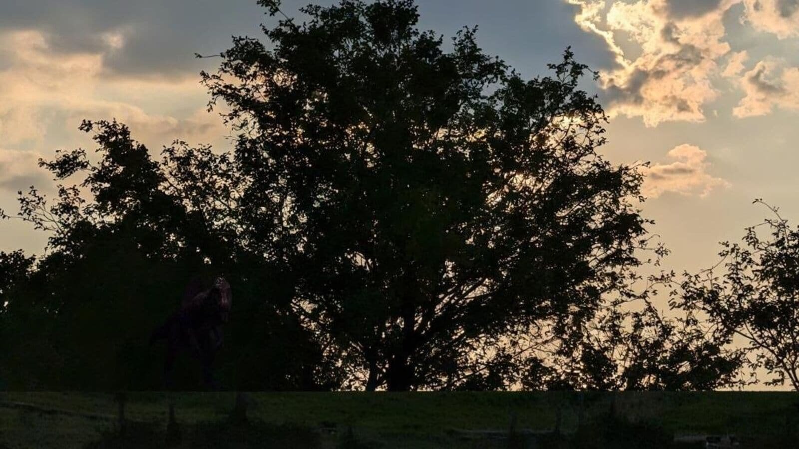 Optical illusion: Can you spot the hidden dinosaur?