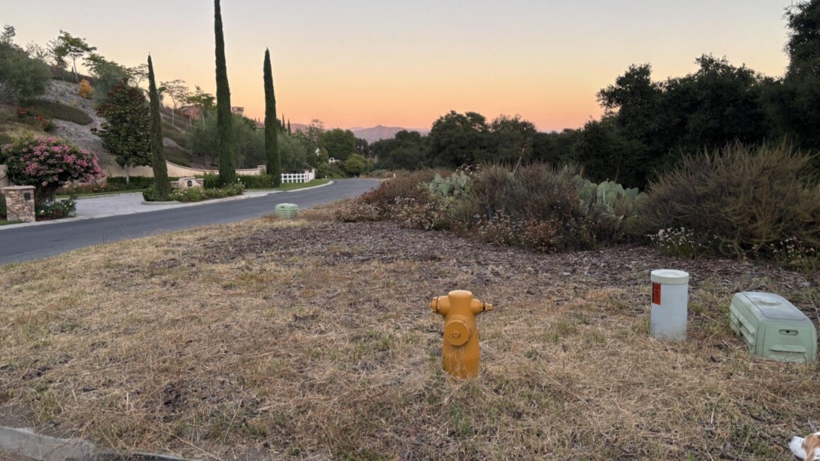 There's a concealed rabbit in this optical illusion: Can you spot it in under a minute?