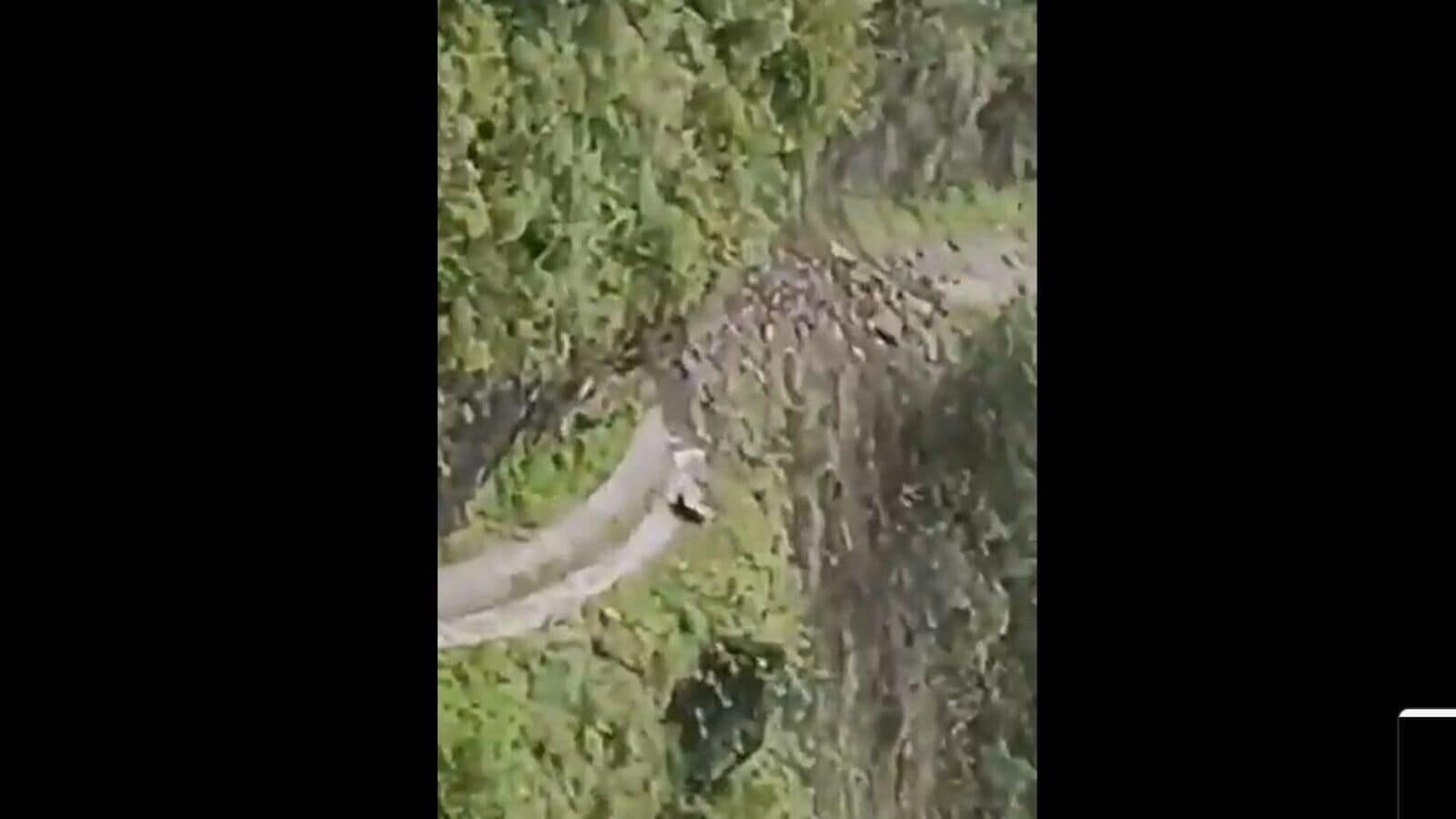 A video grab of the incident. Photo: X