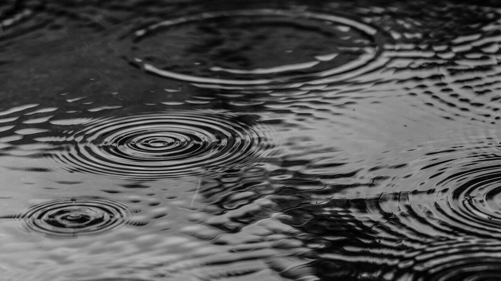 Heavy downpour reported in Chennai; IMD warns of ‘thunderstorm, lightning’ in some districts (Representational image)