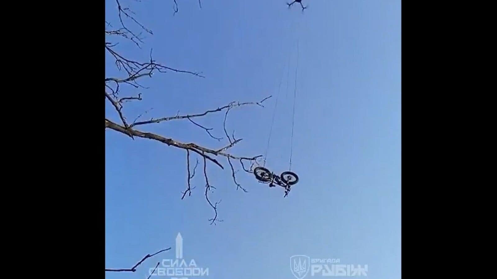 A video grab of the incident. Photo: X