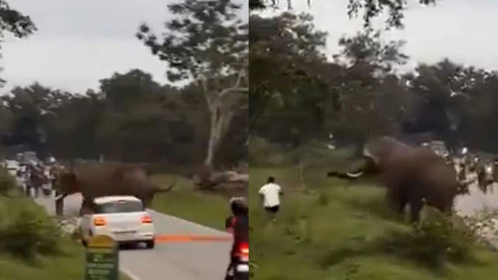 The heart-stopping chase, caught on camera, quickly went viral on social media.