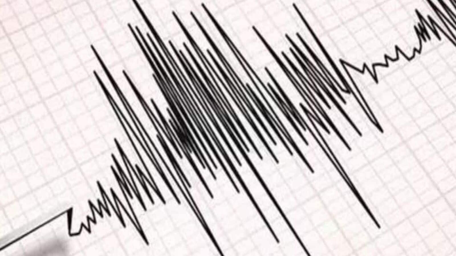 Magnitude 4.8 Earthquake Hits Pakistan Early Sunday, NCS Reports