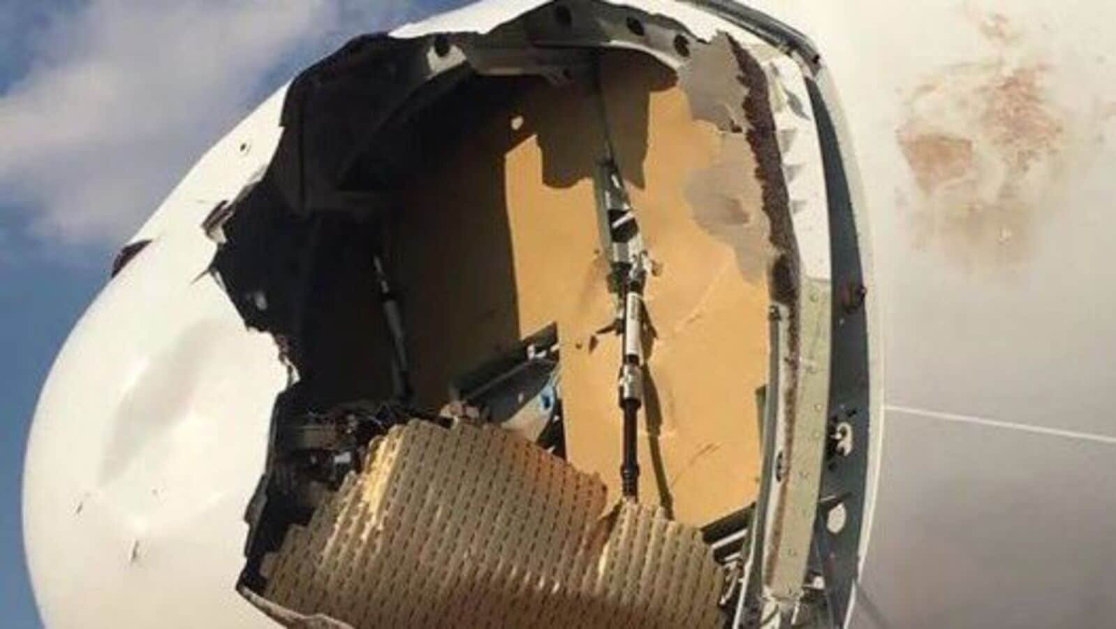 Airbus turns back 20 minutes into the flight due to a bird strike incident.