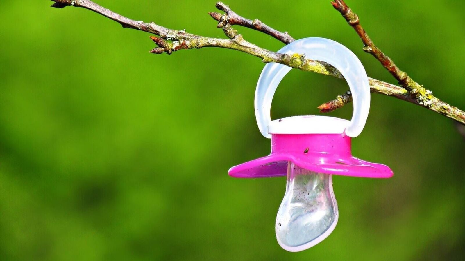 Adult pacifiers get popular to ease anxiety, giving ‘sense of safety’; experts believe this is not ‘real solution’