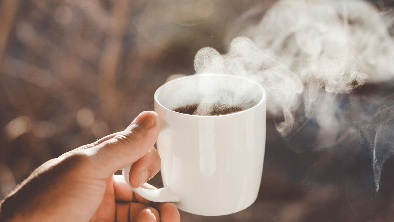 A 28-year-old woman from Pune is earning  <span class='webrupee'>₹</span>1.2 lakh a month by simply serving chai in her balcony