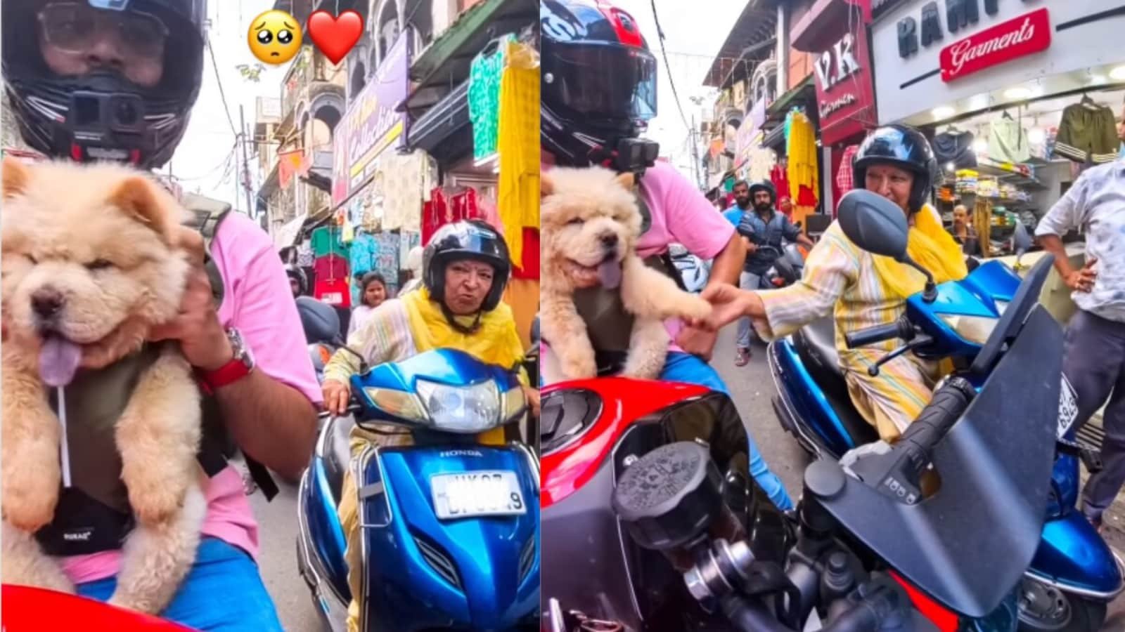 'वह खुशी': इंटरनेट ने शराबी चाउ के साथ महिला के हर्षित मध्य-ट्रैफ़िक पल को निहारता है | रुझान