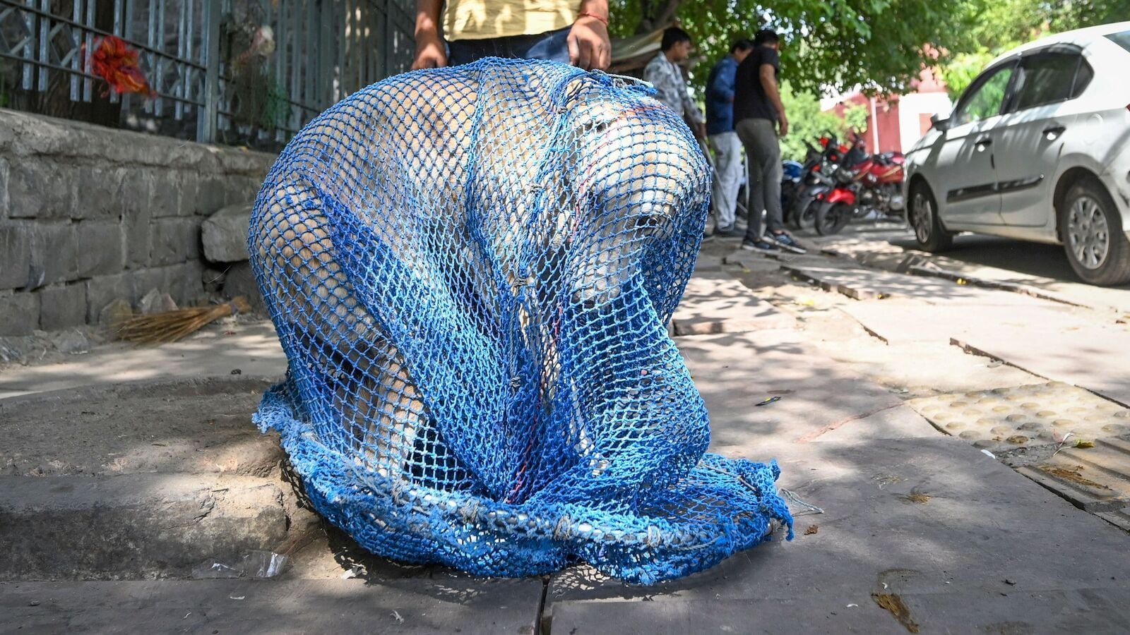 New Delhi, India - June 10, 2025: Workers from MCD Veterinary department seen catching the stray dogs at Daryaganj in New Delhi, India, on Tuesday, June 10, 2025.  (Photo by Sanchit Khanna/ Hindustan Times)