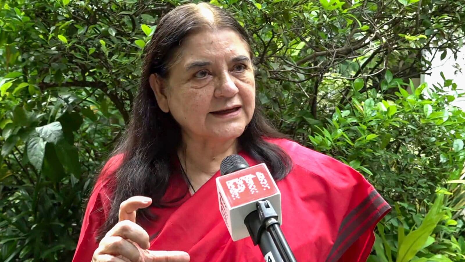 Maneka Gandhi on Supreme Court order on stray dogs: ‘Judgment by someone who is angry’