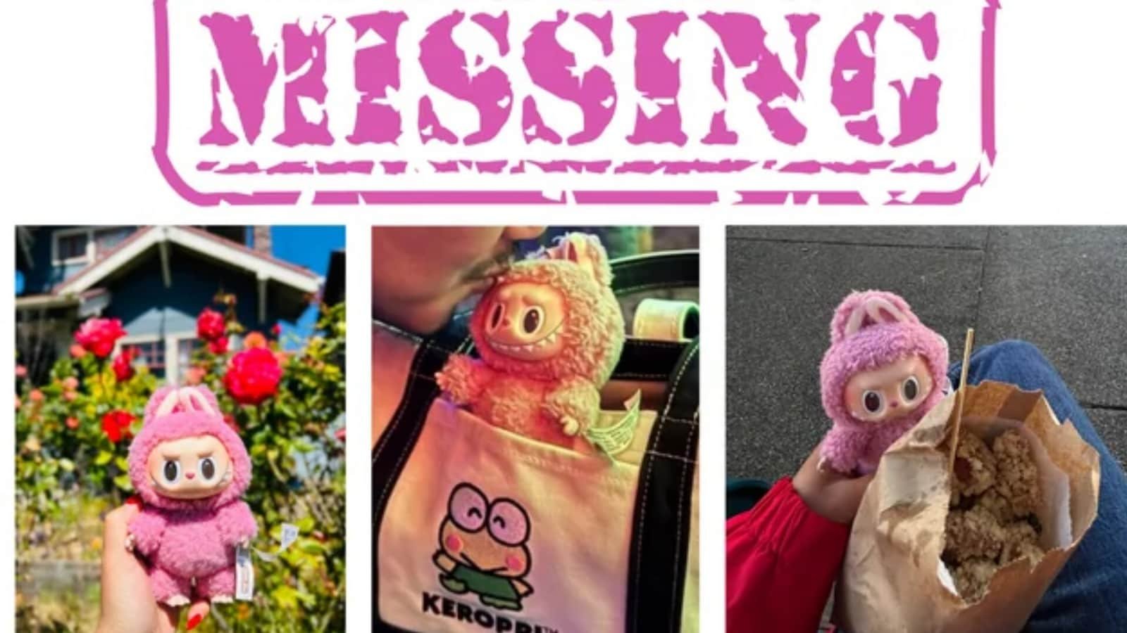 Woman posts flyer, offers  <span class='webrupee'>₹</span>4,000 reward for lost Labubu.