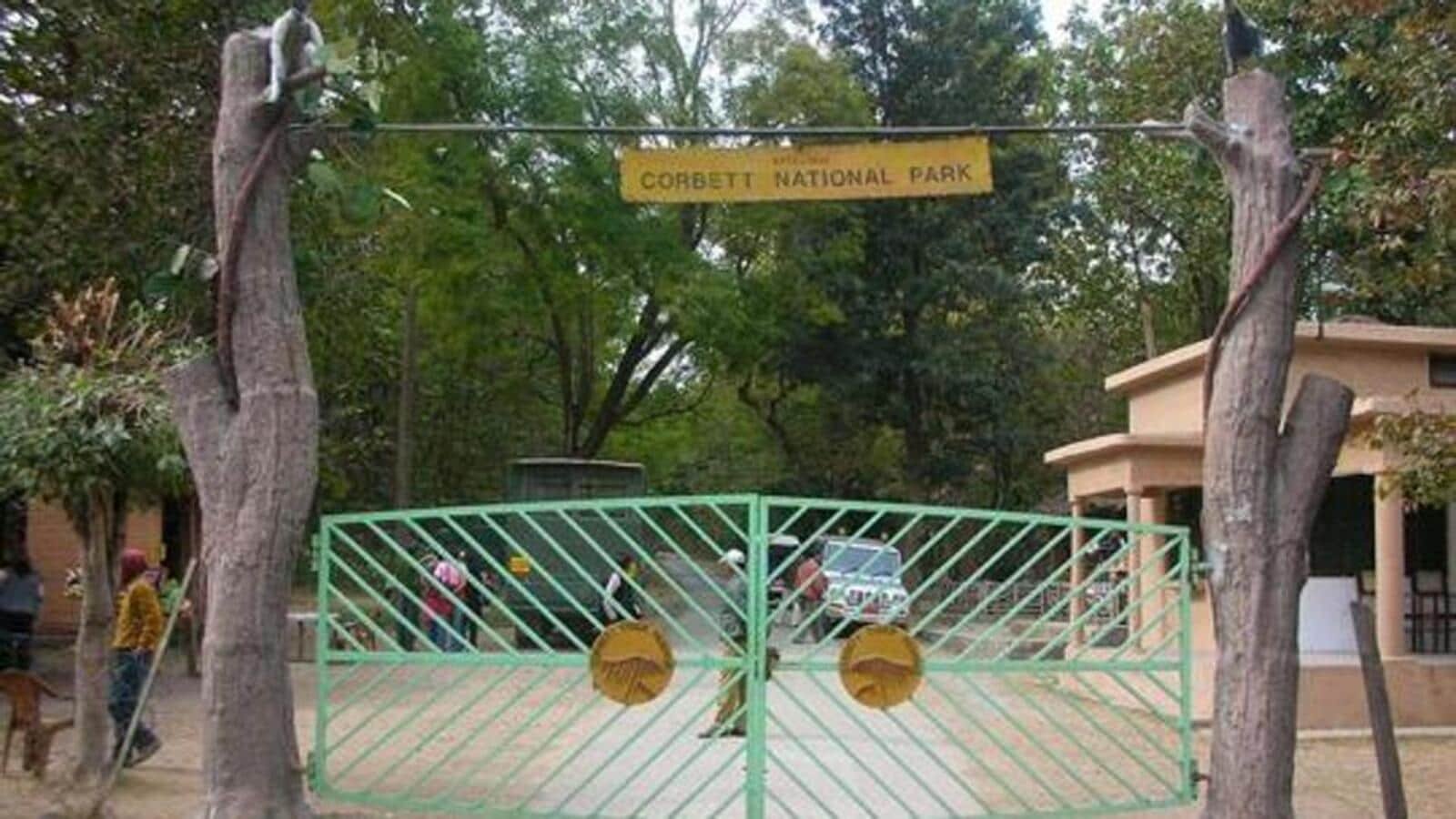 एससी स्लैम उत्तराखंड बोली को 'कॉर्बेट टाइगर रिजर्व निदेशक' की रक्षा करने के लिए बोली