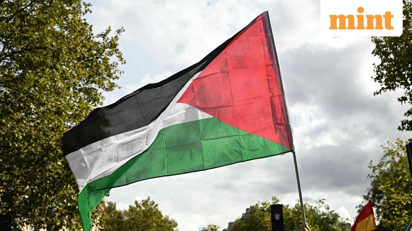 Palestinian flag.